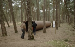 http://www.erikrombouts.be/activiteiten/klankenbos.jpg